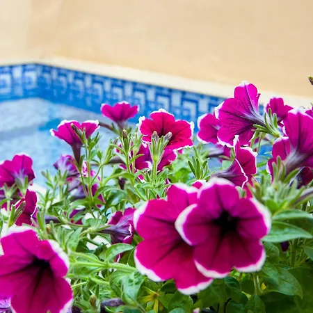 Apartamento Aretousa